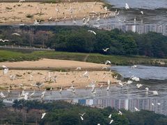 -万兴菜馆(龙华店)