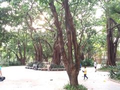 -人民公园(罗湖区)