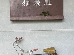 -猫里有甜