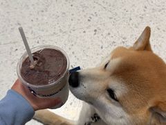 -CHARLIETOWN红茶公司(南京万象天地店)