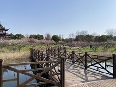 -上海海湾国家森林公园