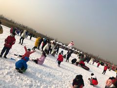 -绿野森林乐园冰雪季