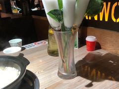 -探窝·竹笙椰子鸡(杨箕店)