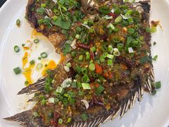 -草墩罗非鱼庄•野生菌•腊排骨(七星街上段店)