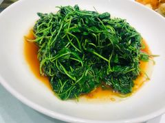 -席家花园(巨鹿花园店)
