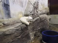 -梦幻海洋王国(吾悦广场张家港店)
