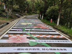 -南京老山国家森林公园