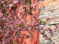 -浙江大学(玉泉校区)