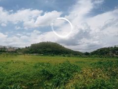 -台山美食一绝阿四台山黄鳝饭(阿四创作店)