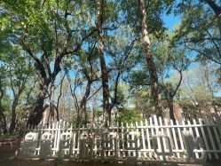 -皇家月府月子中心(沈阳店)