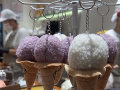 -野人先生现做冰淇淋(北京环宇荟店)