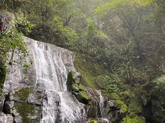 -藏龙百瀑风景区