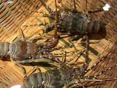 -拉完海鲜大排档(温岭店)