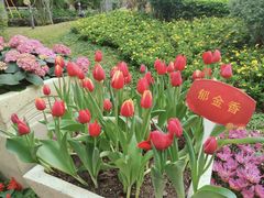 -广州文化公园