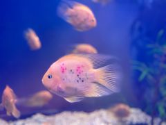 -常州海昌海洋探索馆