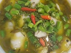 -百味郭豆腐脑(巧克力公寓店)