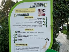-黄兴公园