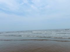 -日照海滨国家森林公园