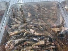 -银生食府·普洱菜(金星店)