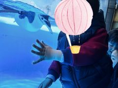-海合安成都极地海洋公园