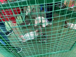 -萌宠亲子动物乐园(槐房万达店)