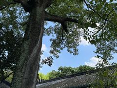 -南海神庙