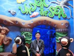 泰迪熊博物馆-济州岛泰迪熊博物馆