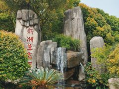 -新洲生态园