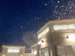 -Blue Concept Cafe&Farm·關於藍