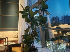 -粤界(望京金辉店)