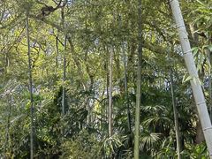 -苏州上方山国家森林公园
