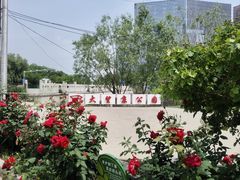 -大望京公园