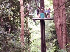 -清迈丛林飞跃 JungleFlight