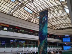 -PAWTOY爪e玩偶店(天兴罗斯福店)