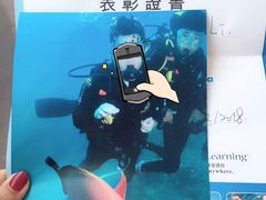 -悉尼歌剧院