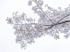-喷泉公园