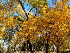 -元大都城垣遗址公园