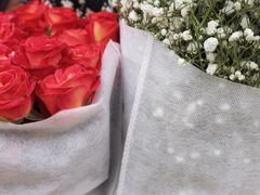 -三圣花乡旅游区