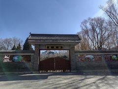 -莲花池公园