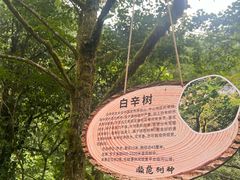 -西岭雪山大飞水景区