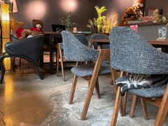 -咖法森林·咖啡  酒吧(天河店)