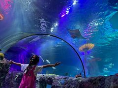 -沈阳海洋探索中心