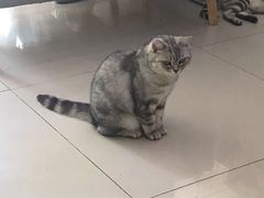 -平行世界·猫咖(首经贸店)