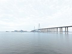 -中澳友谊花园