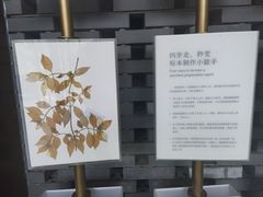 -云溪植物园