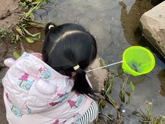 -重庆彩云湖湿地公园