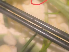 -福成自助烤肉(双桥万达店)