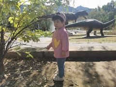 -百里山水画廊-恐龙游乐园