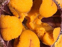 -水之惠鲜鱼料理(王府大街店)