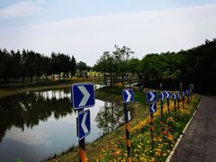 -东郊湿地公园